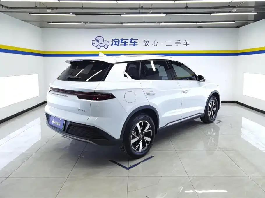 BYD Pro New Energy — фото 5