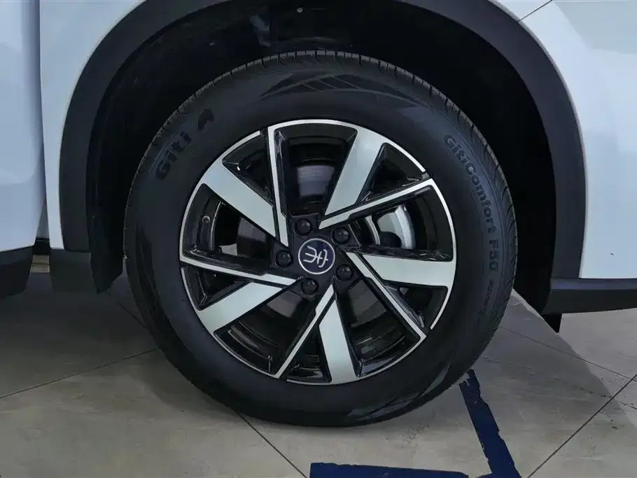 BYD Pro New Energy — фото 8