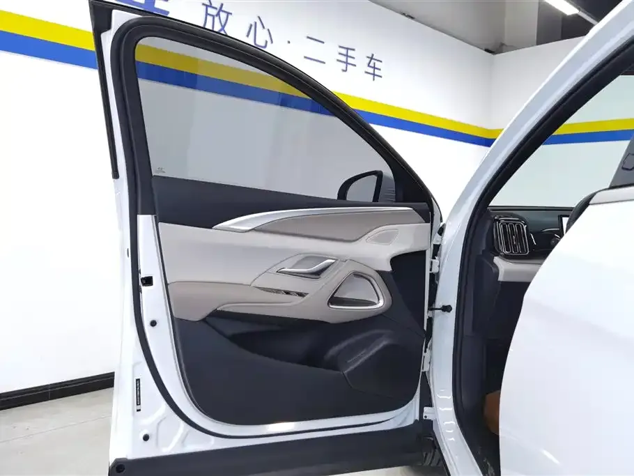 BYD Pro New Energy — фото 2