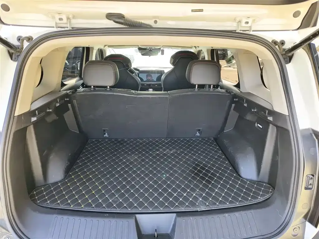 Haval Cool Dog 2023 из CN, фото 5