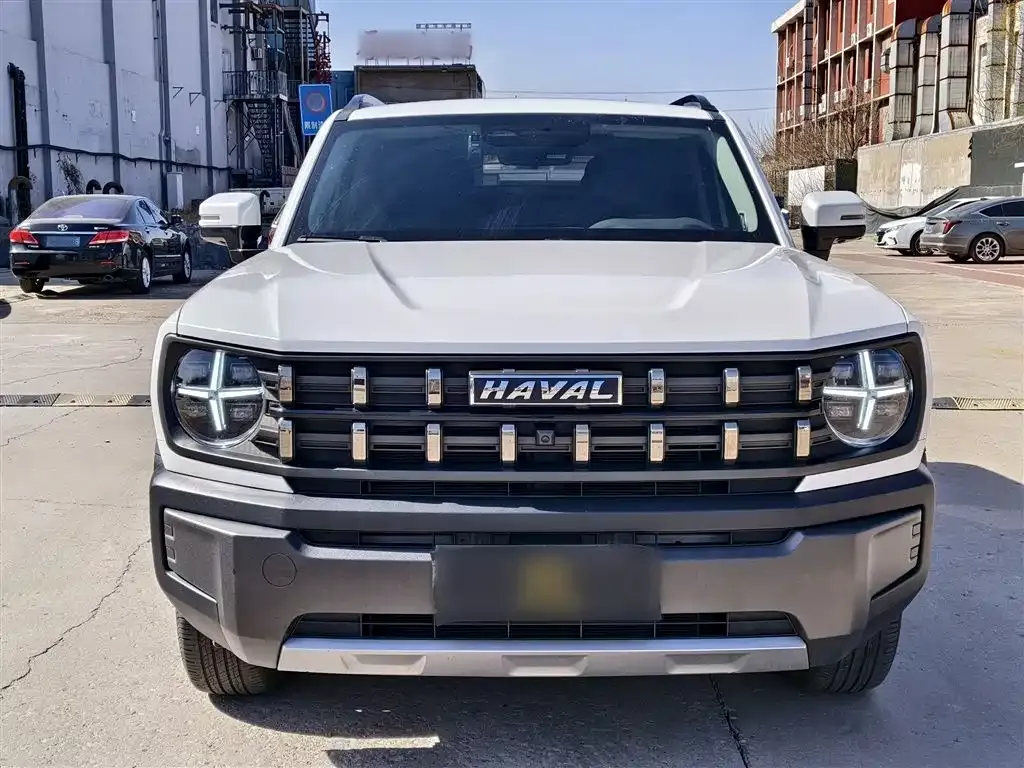 Haval Cool Dog 2023 из CN, фото 4