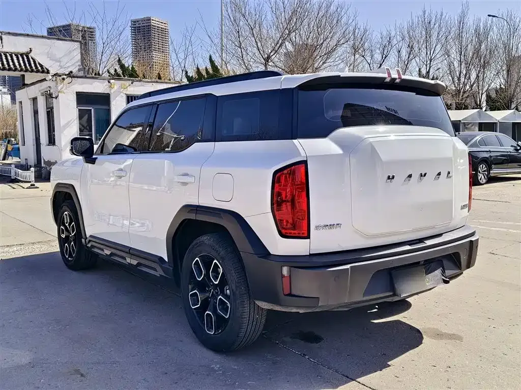Haval Cool Dog 2023 из CN, фото 8