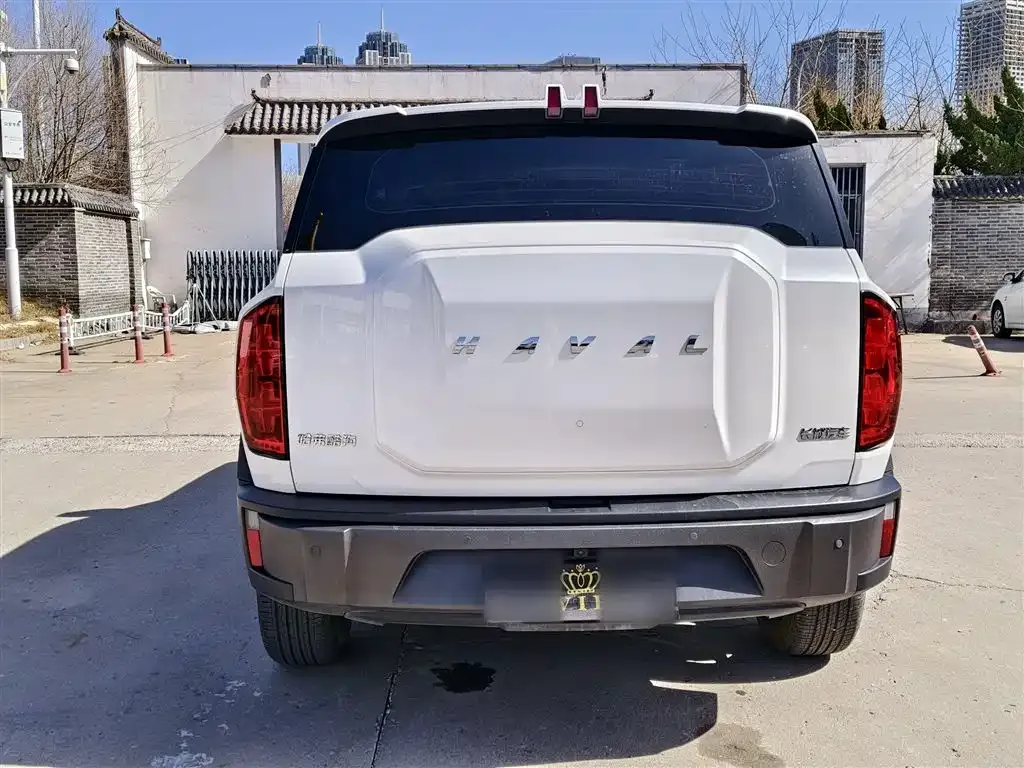 Haval Cool Dog 2023 из CN, фото 10