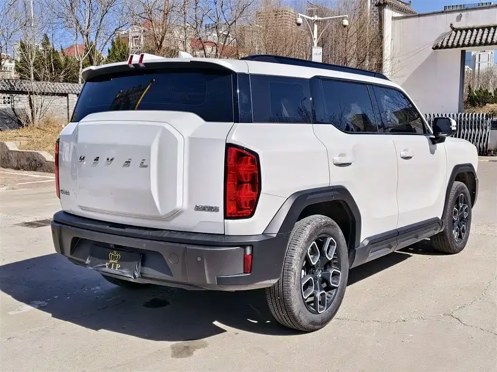 Haval Cool Dog 2023 из CN, фото 7
