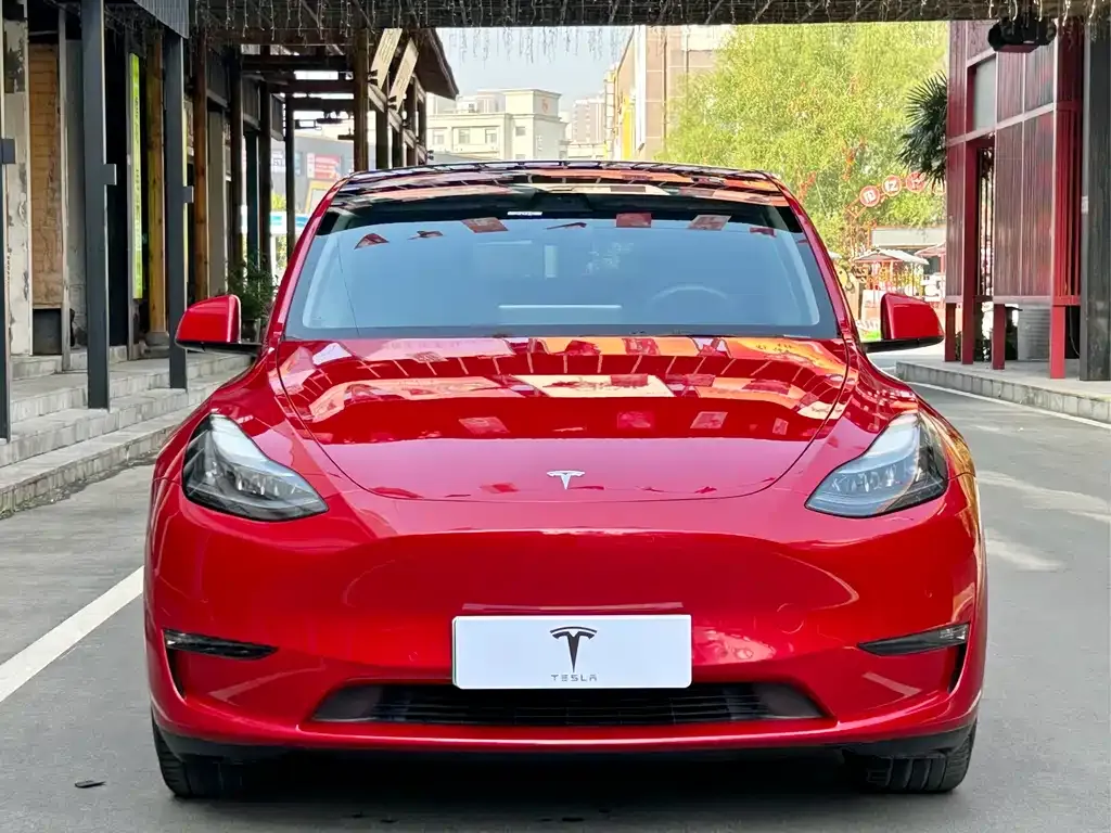 Tesla Model Y — фото 7