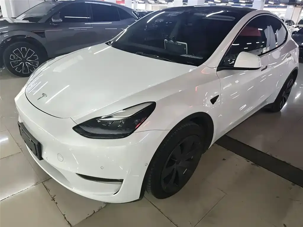 Tesla Model Y 2021 из CN, фото 1