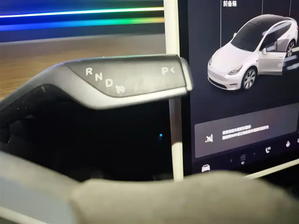 Tesla Model Y 2021 из CN, фото 2