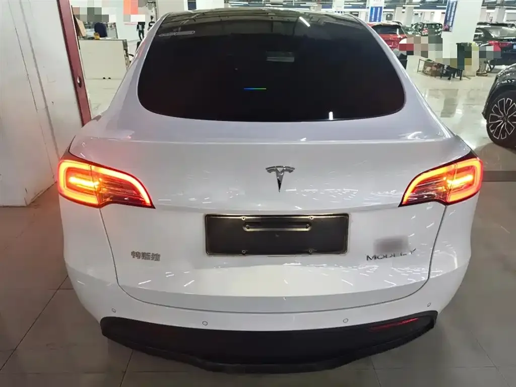 Tesla Model Y 2021 из CN, фото 6