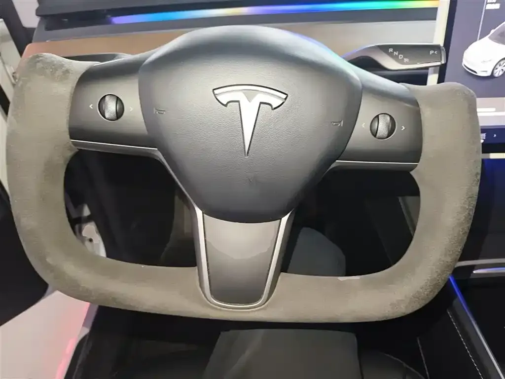 Tesla Model Y 2021 из CN, фото 3