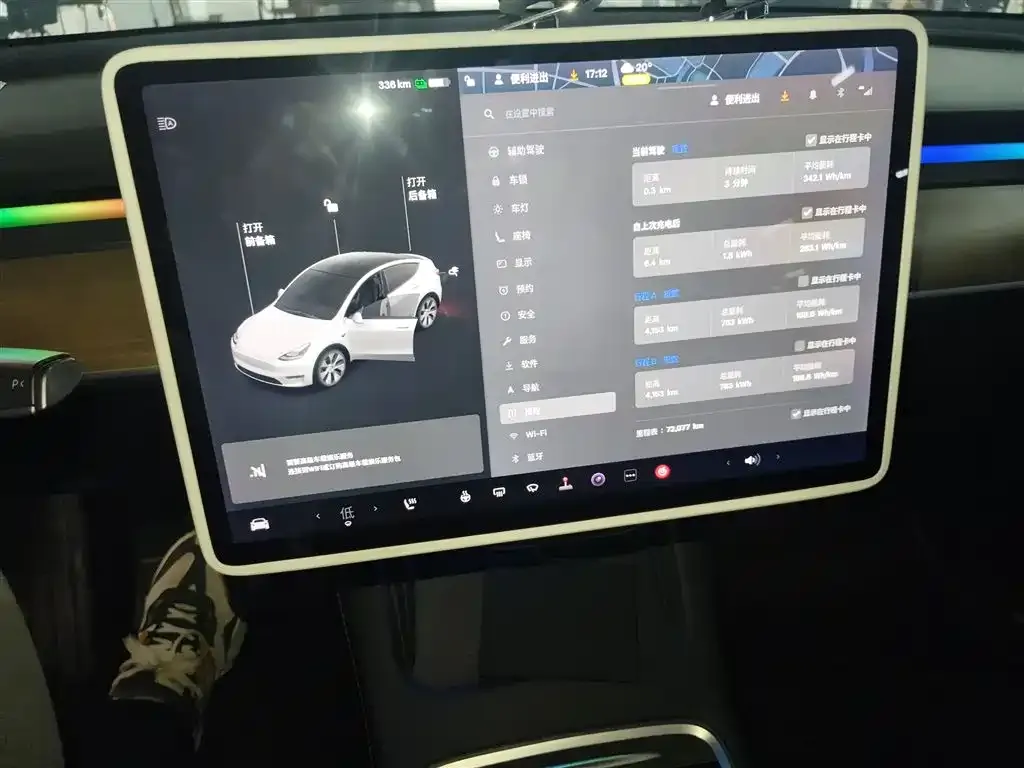 Tesla Model Y 2021 из CN, фото 8