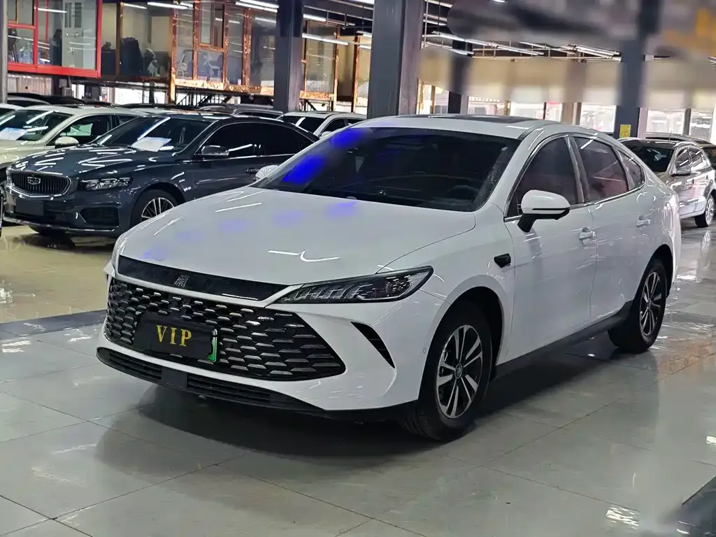 BYD Qin PLUS — фото 1