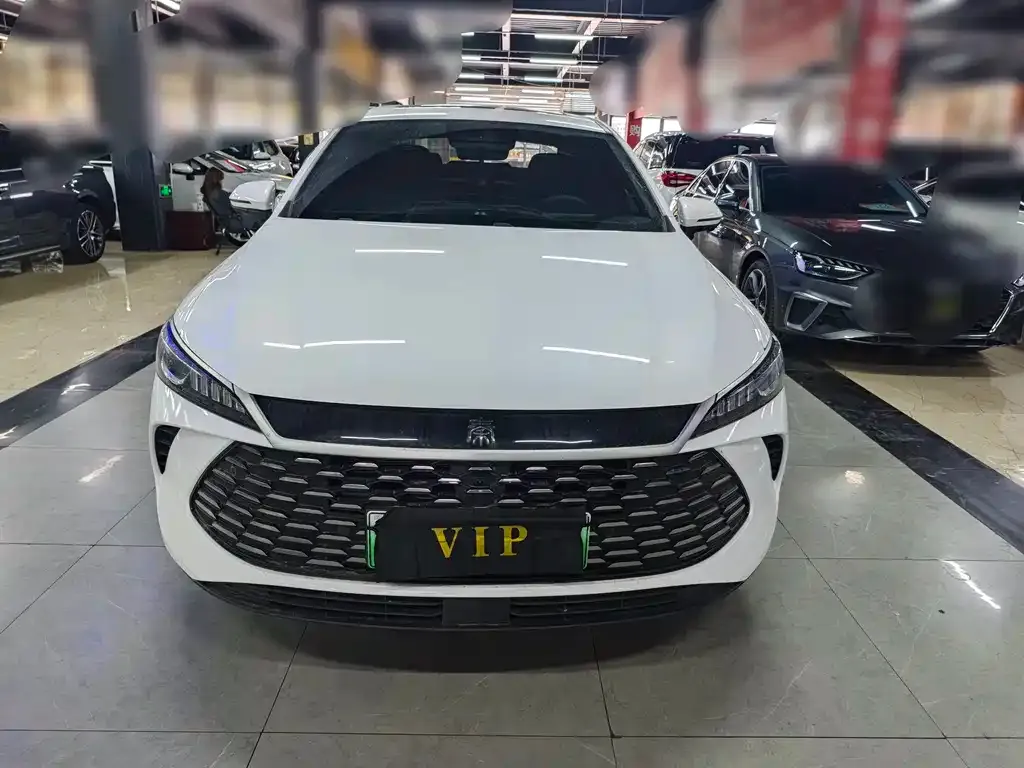 BYD Qin PLUS — фото 8