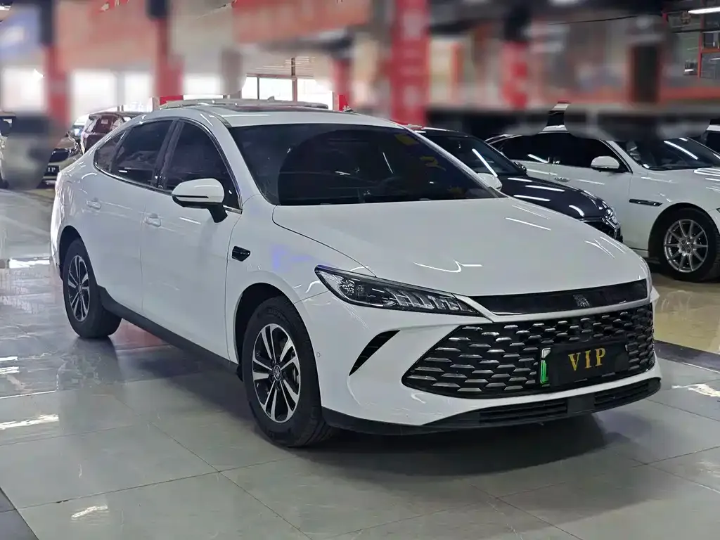 BYD Qin PLUS — фото 3