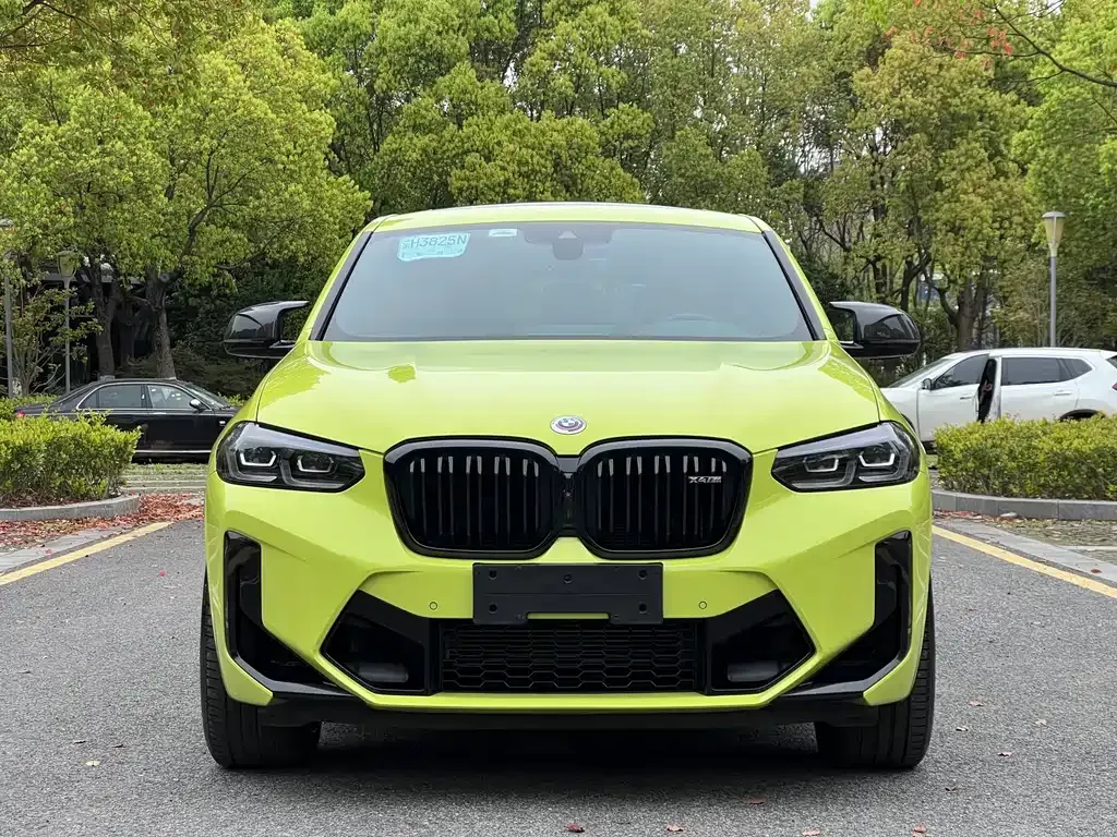 BMW X4 M 2023 из CN, фото 10