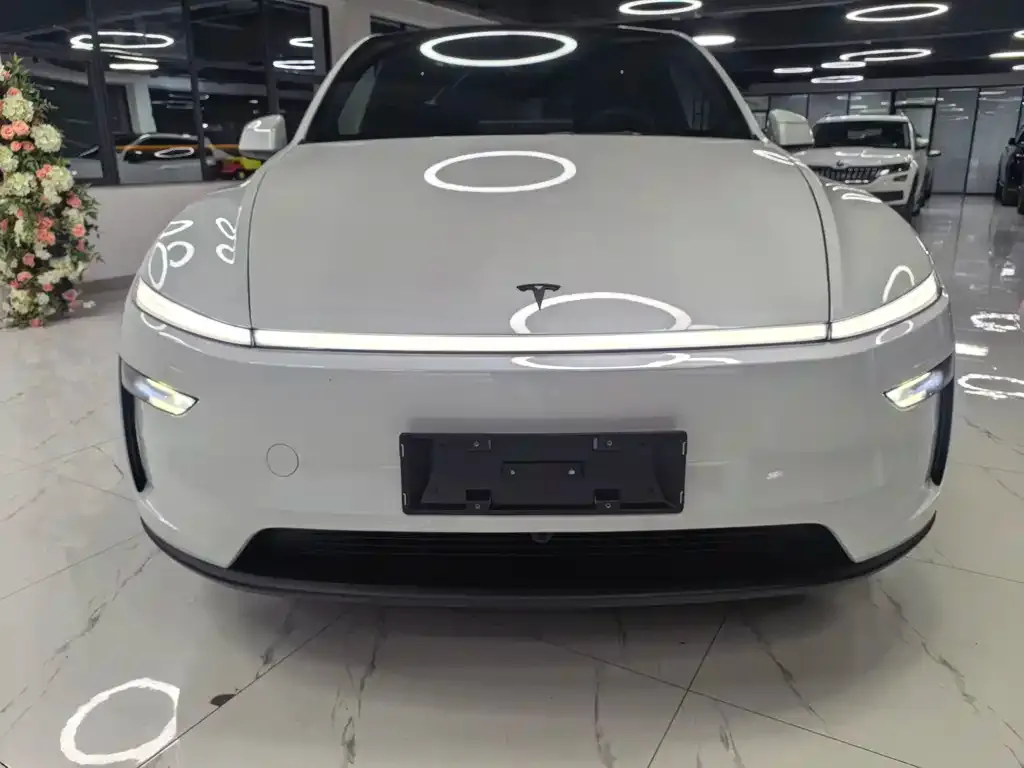 Tesla Model Y — фото 2
