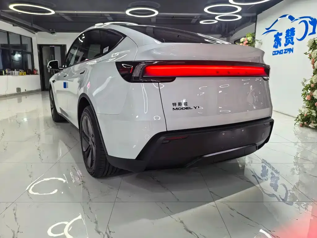 Tesla Model Y — фото 9