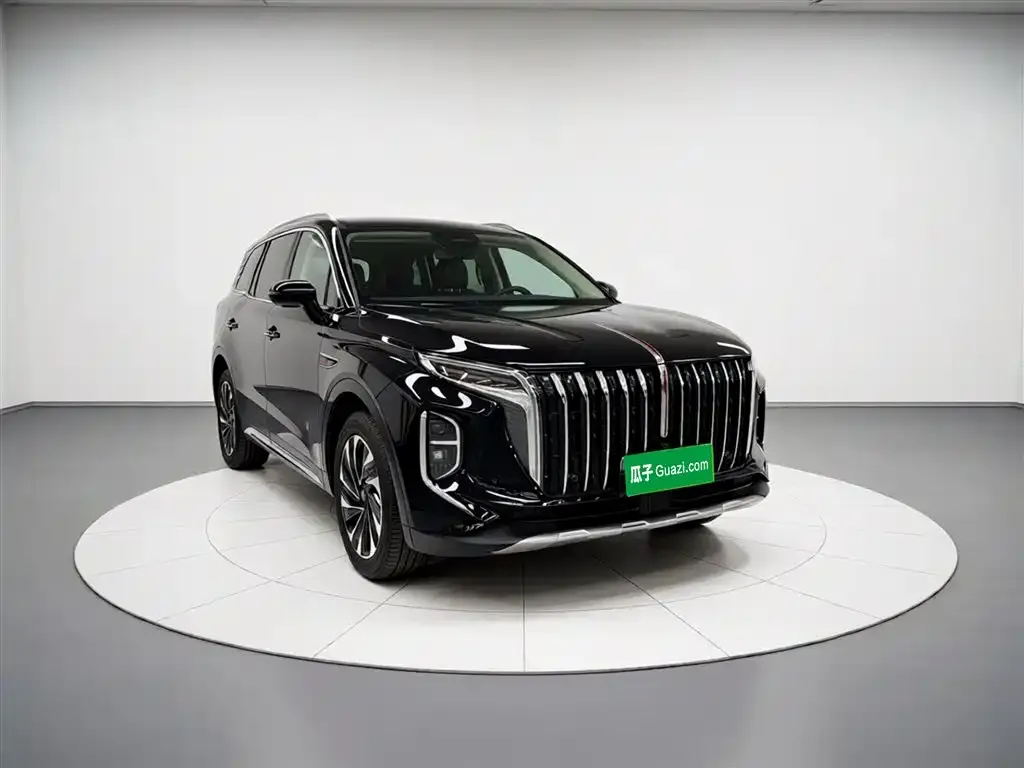 Hongqi HS7 PHEV 2024 из CN, фото 2