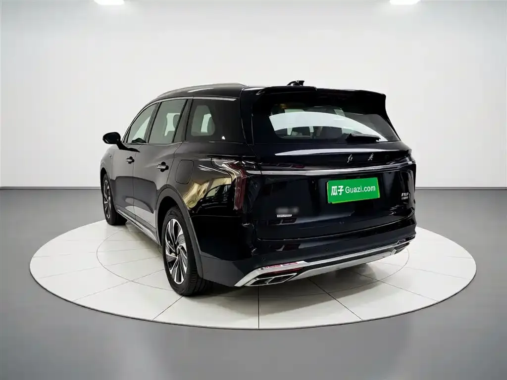 Hongqi HS7 PHEV 2024 из CN, фото 9