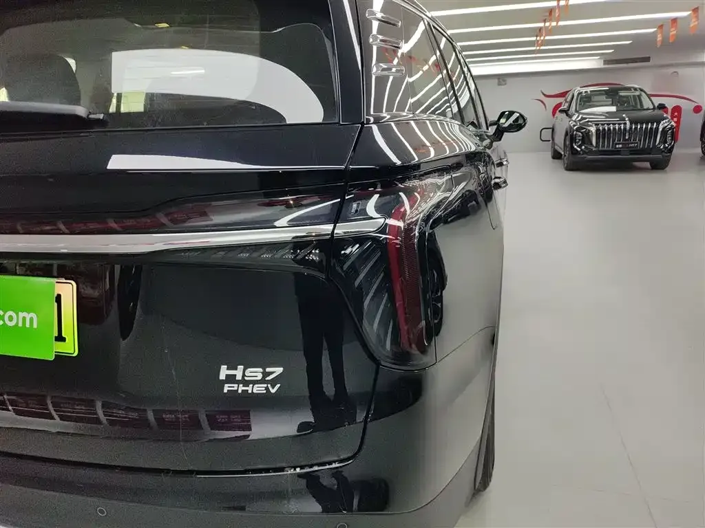 Hongqi HS7 PHEV 2024 из CN, фото 10