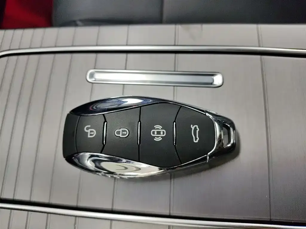 Hongqi HS7 PHEV 2024 из CN, фото 4