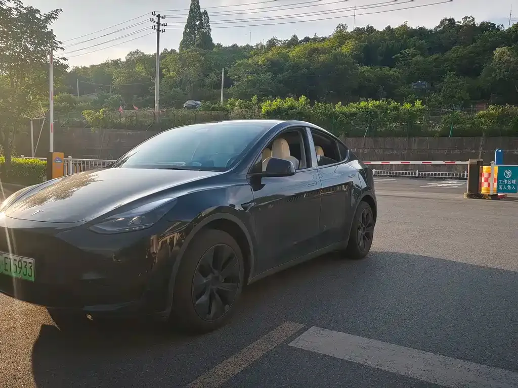 Tesla Model Y — фото 1
