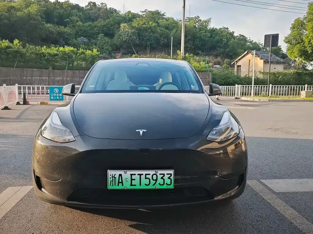 Tesla Model Y — фото 8