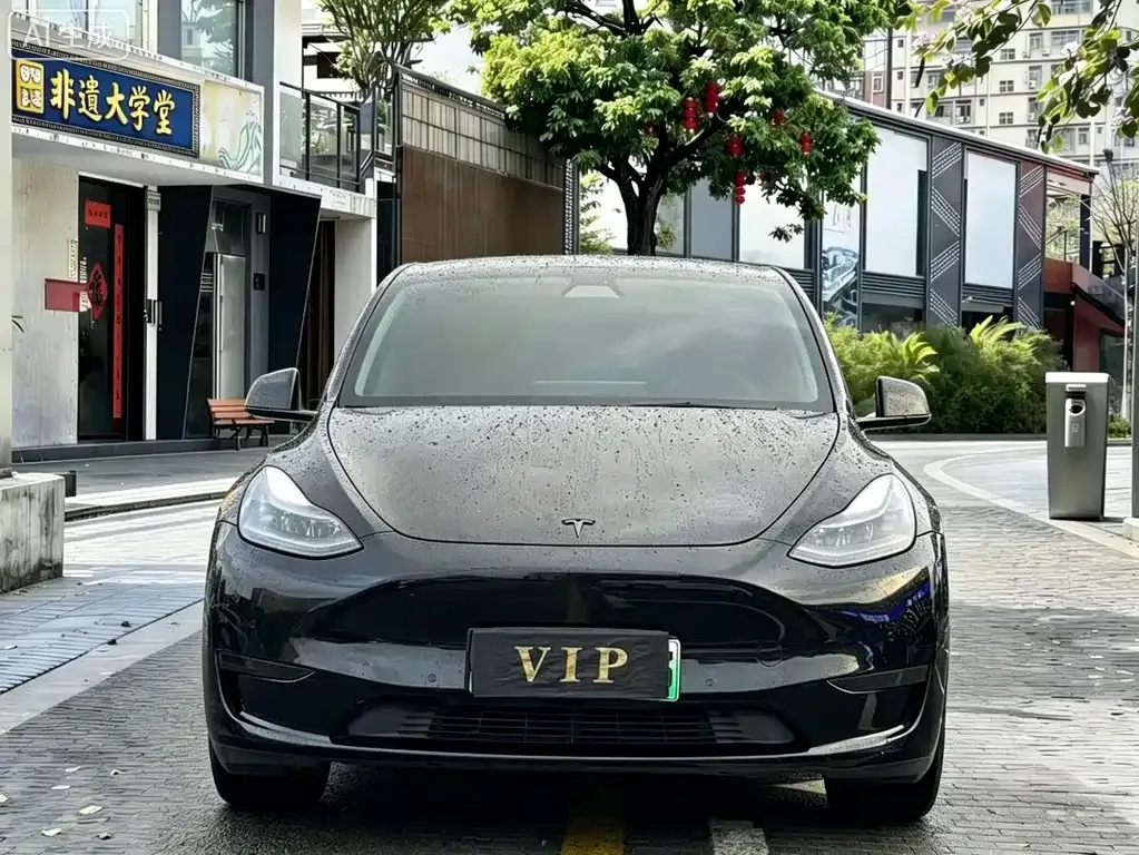 Tesla Model Y — фото 8