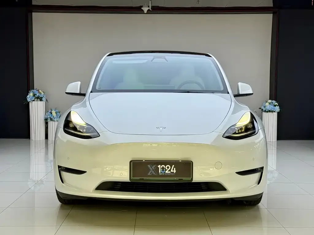 Tesla Model Y — фото 2