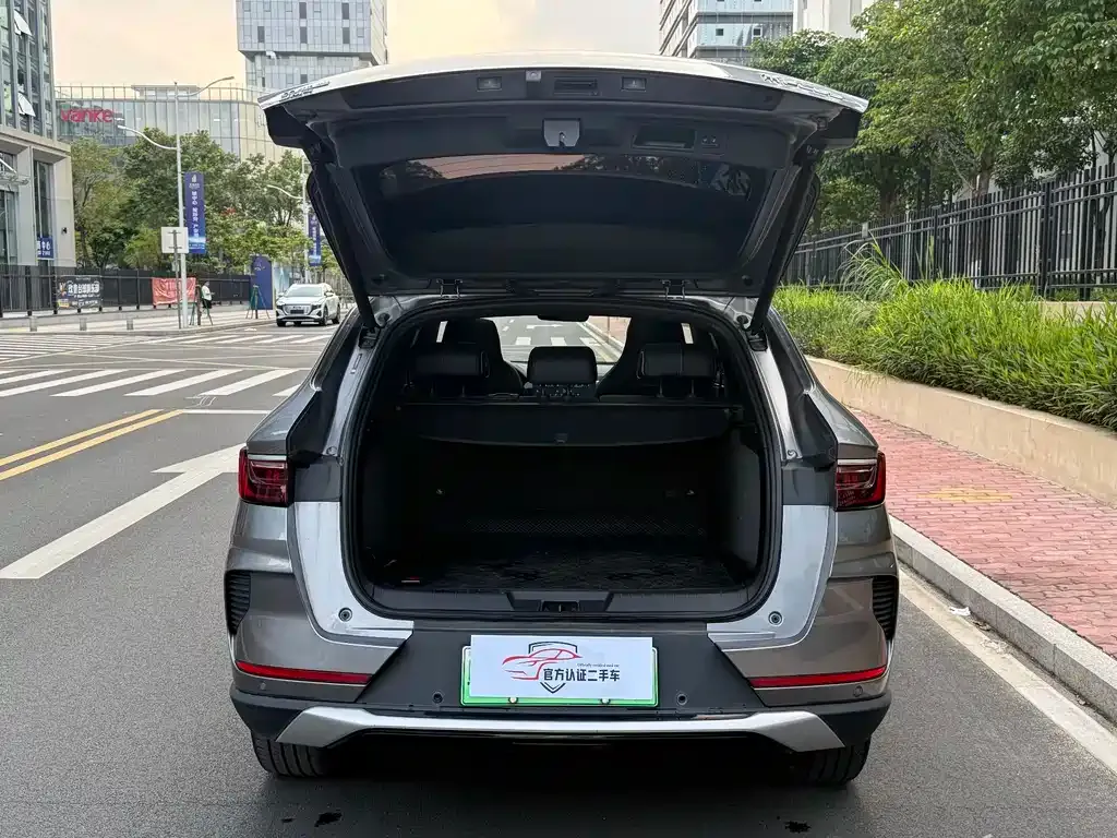 BYD PLUS New Energy — фото 6