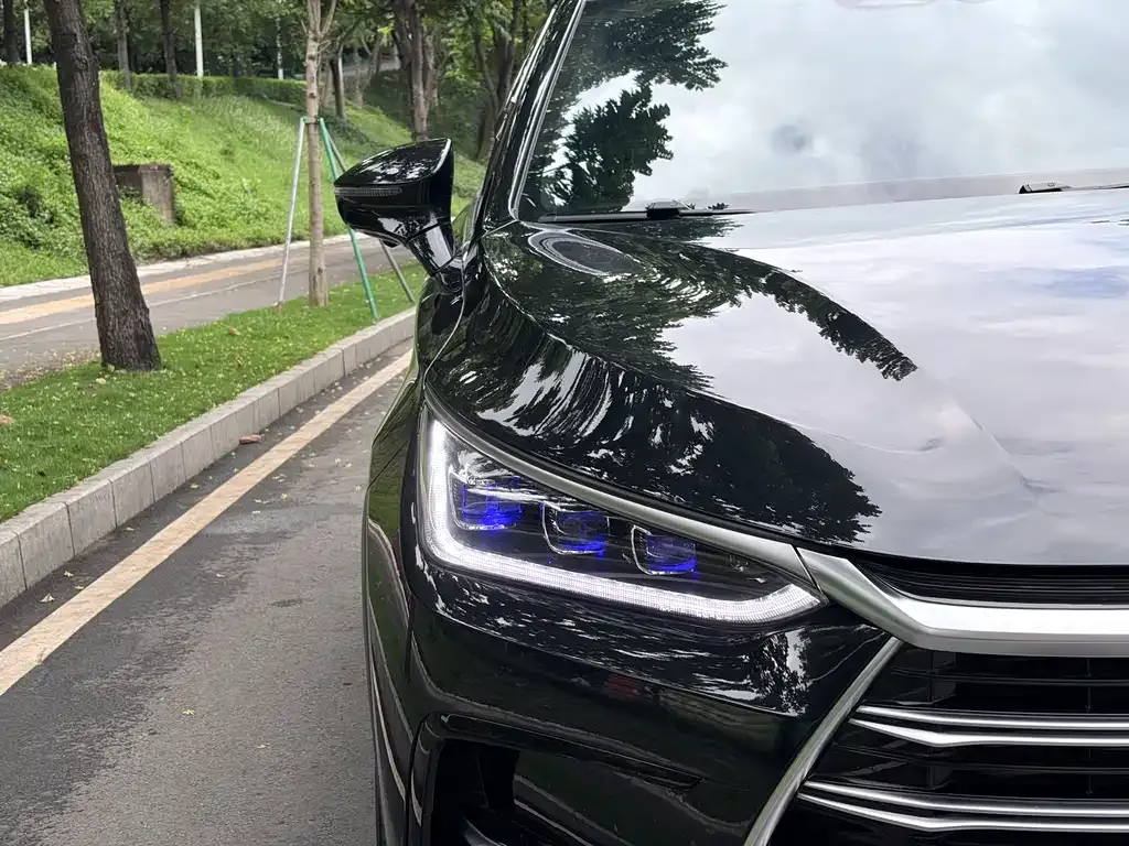 BYD Tang New Energy 2023 из CN, фото 10