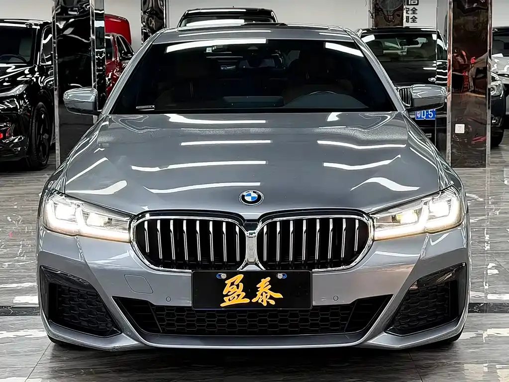 BMW 5 Series (Import) 2022 из CN, фото 8