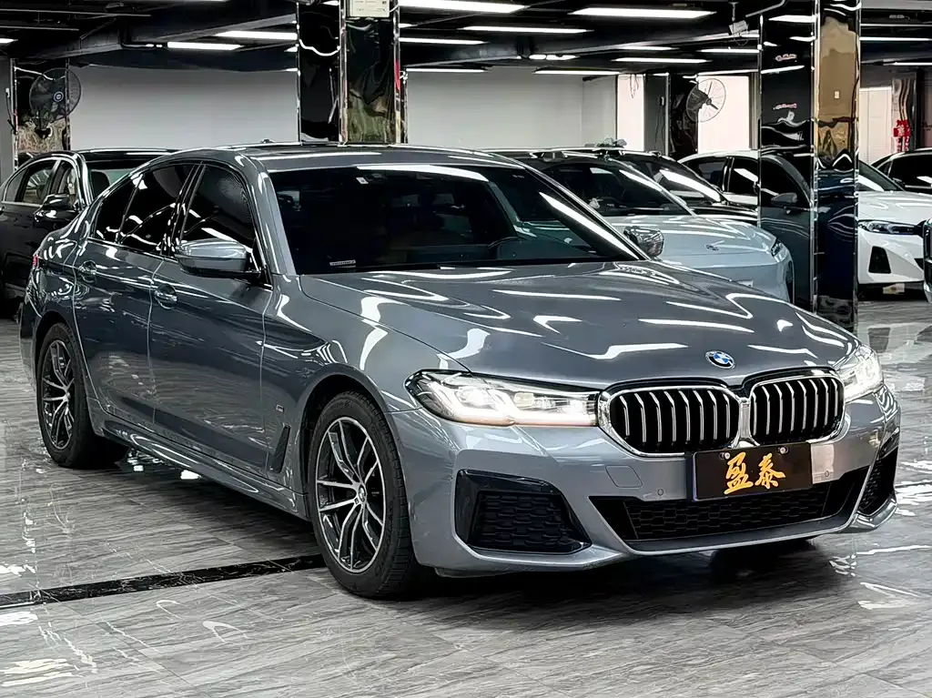 BMW 5 Series (Import) 2022 из CN, фото 4