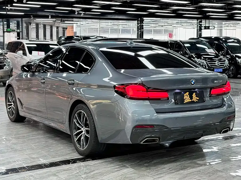 BMW 5 Series (Import) 2022 из CN, фото 5