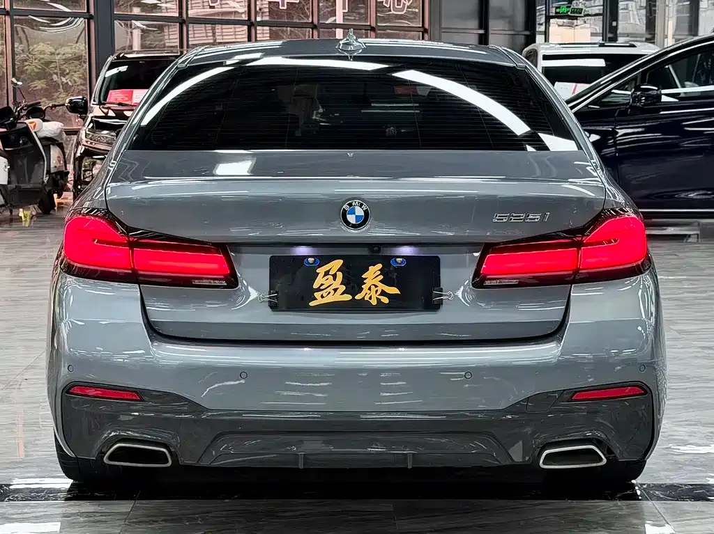 BMW 5 Series (Import) 2022 из CN, фото 7