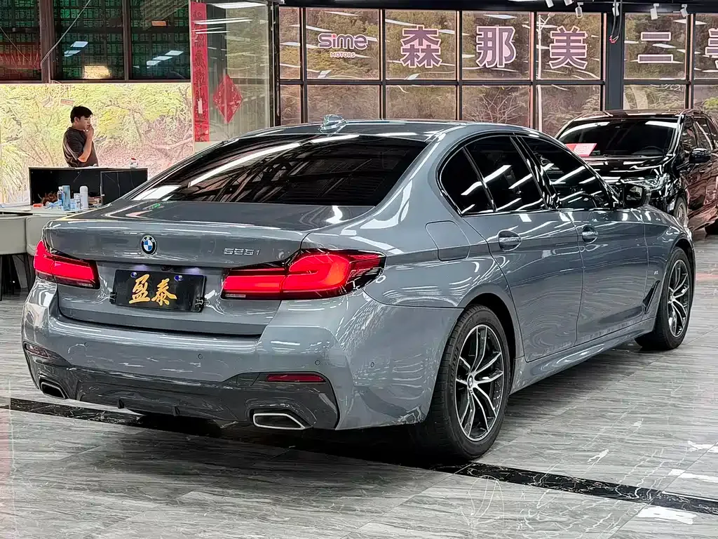 BMW 5 Series (Import) 2022 из CN, фото 10