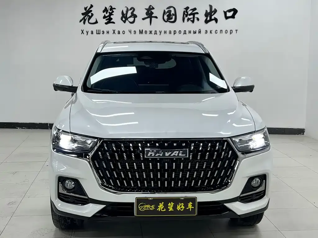Haval H6 2023 из CN, фото 10