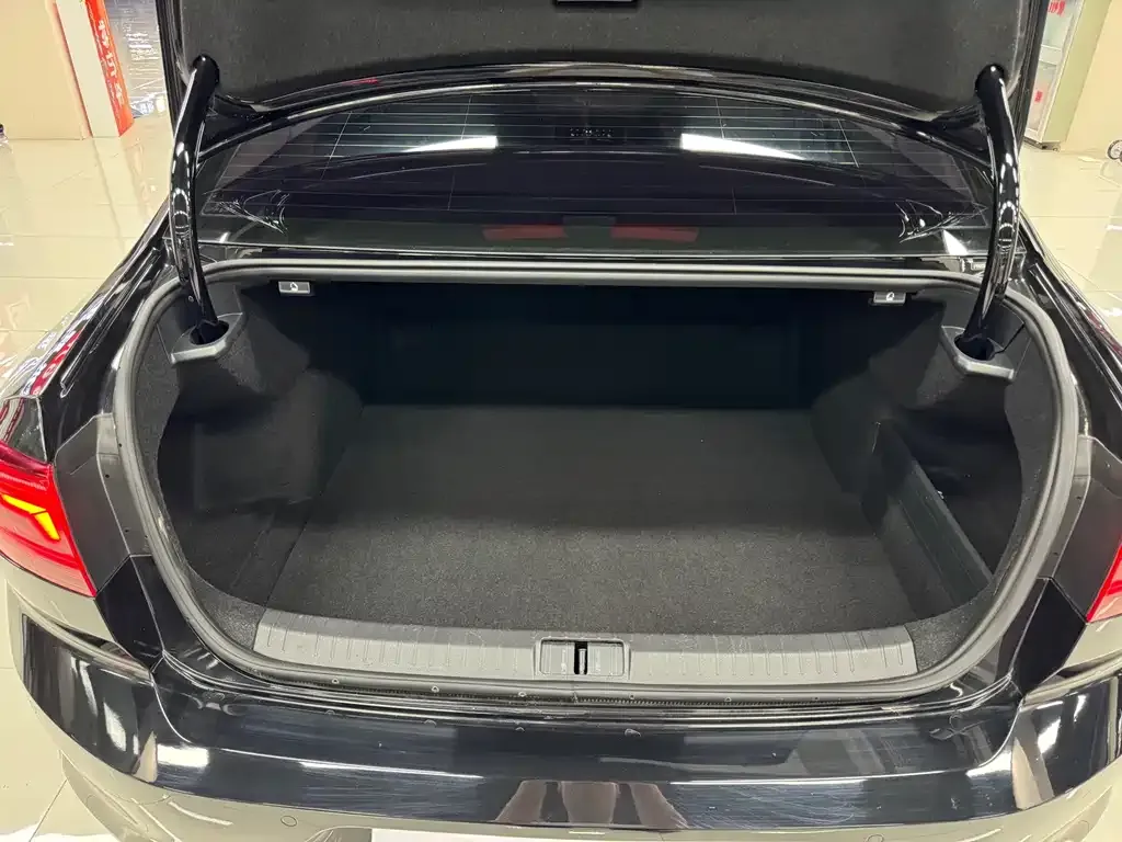 Volkswagen Magotan 2021 из CN, фото 2
