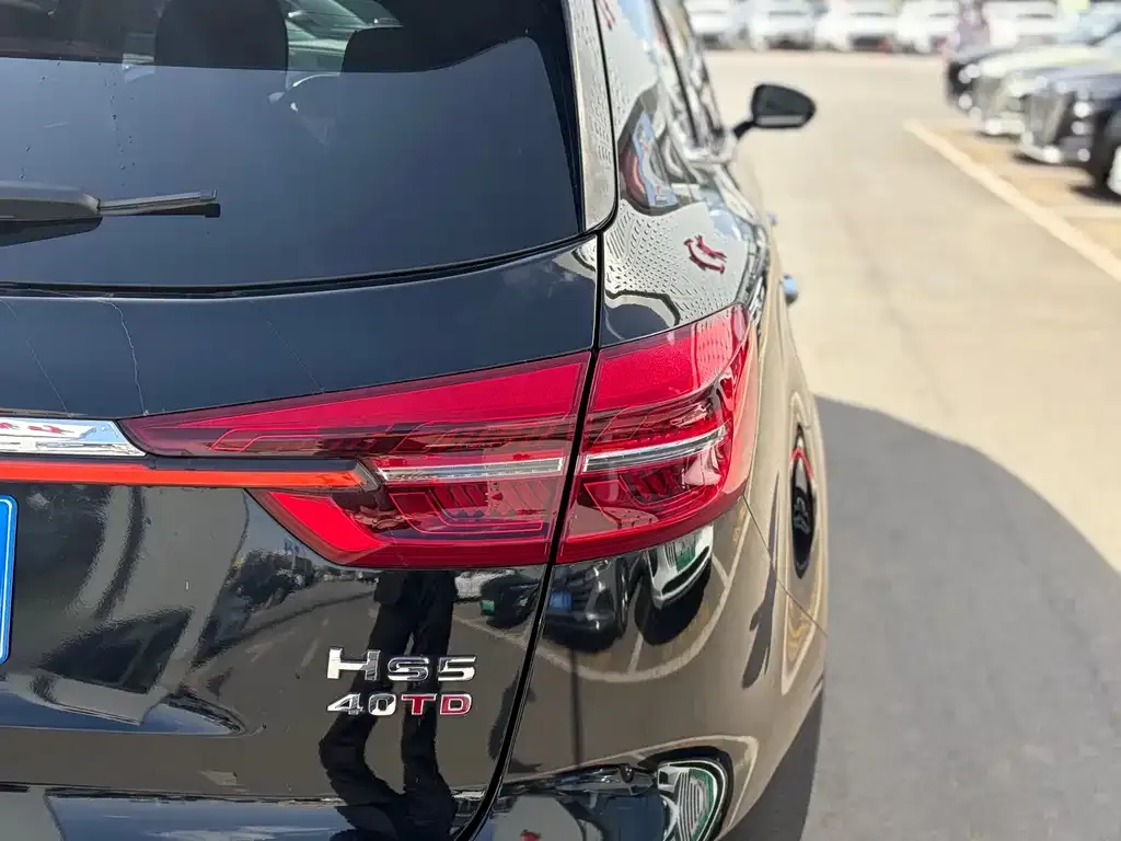 Hongqi HS5 2023 из CN, фото 4