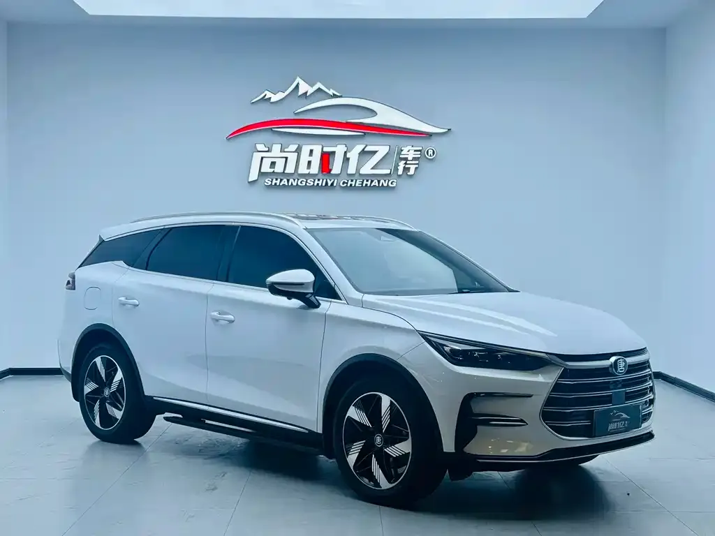 BYD Tang New Energy 2023 из CN, фото 10