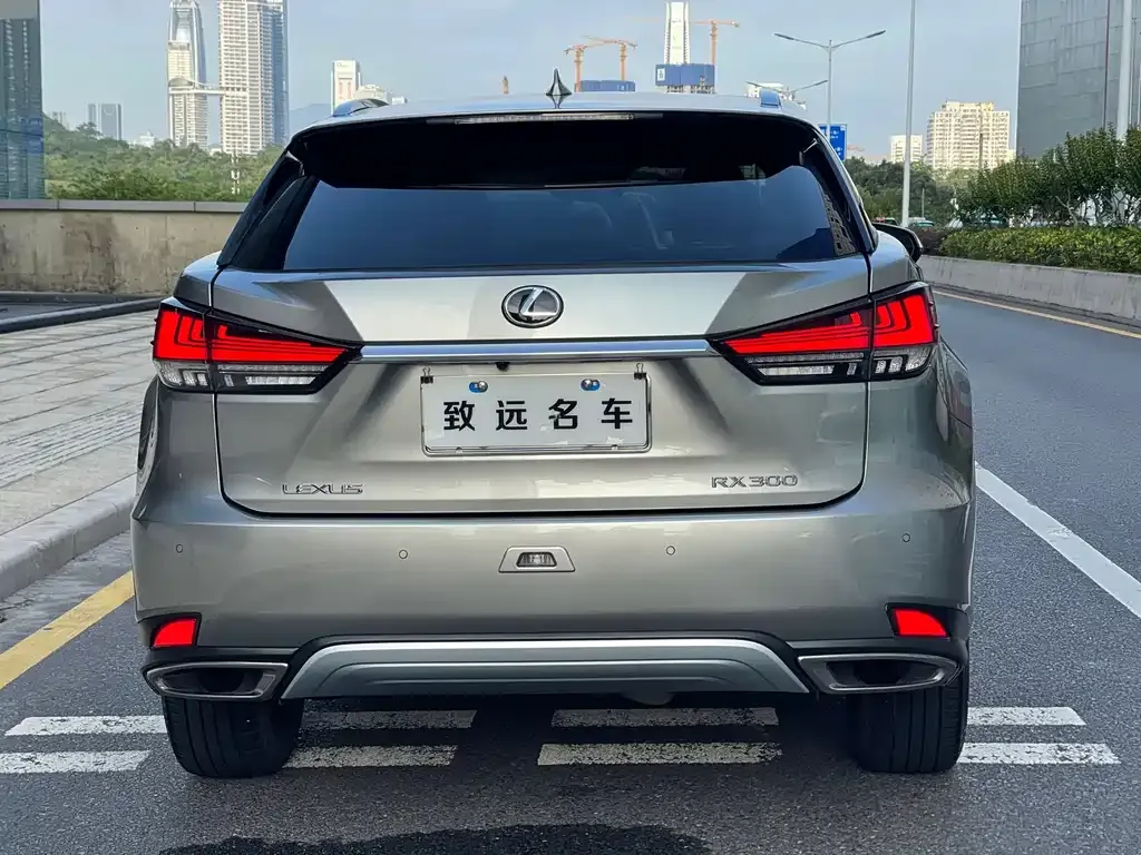 Lexus RX 2021 из CN, фото 2
