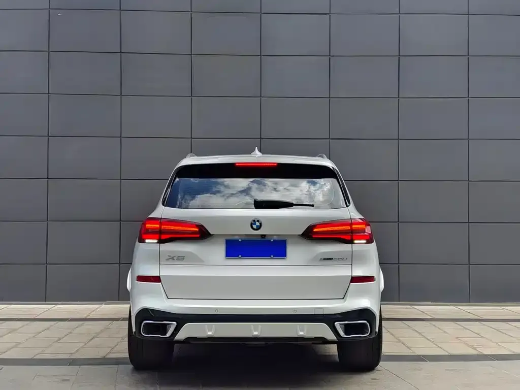 BMW X5 2023 из CN, фото 6