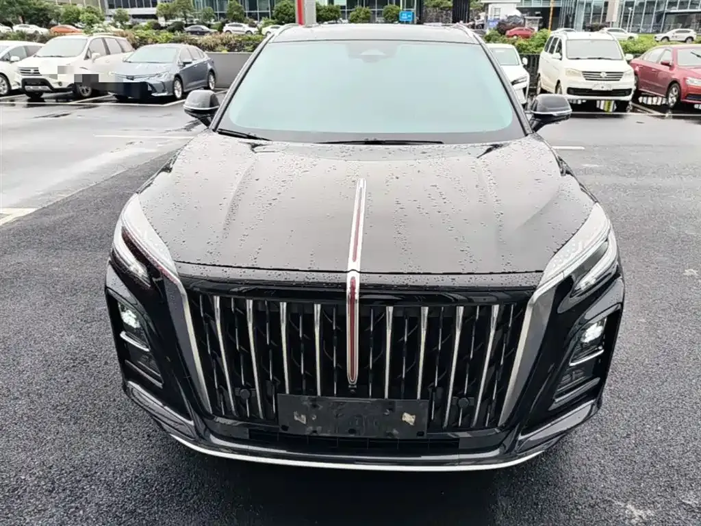 Hongqi HS3 2024 из CN, фото 10
