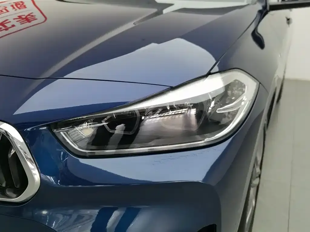 BMW X2 2021 из CN, фото 4