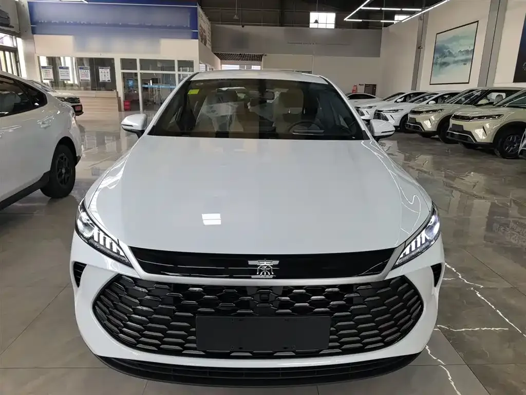 BYD Qin PLUS 2026 из CN, фото 8