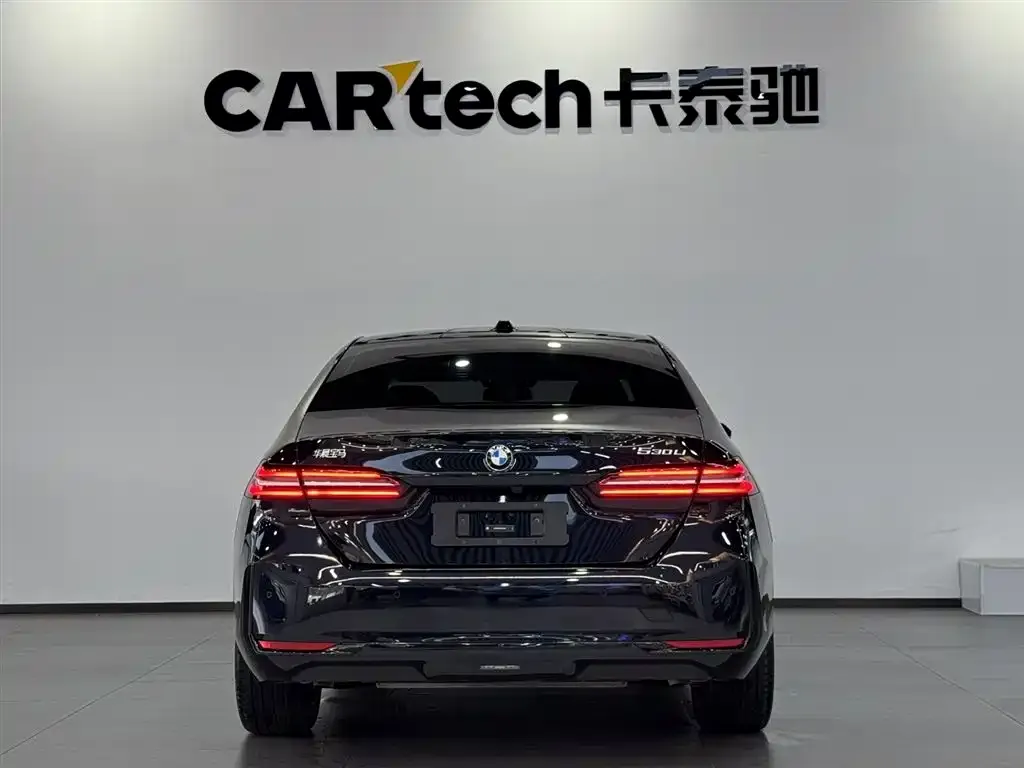 BMW 5 Series 2024 из CN, фото 6
