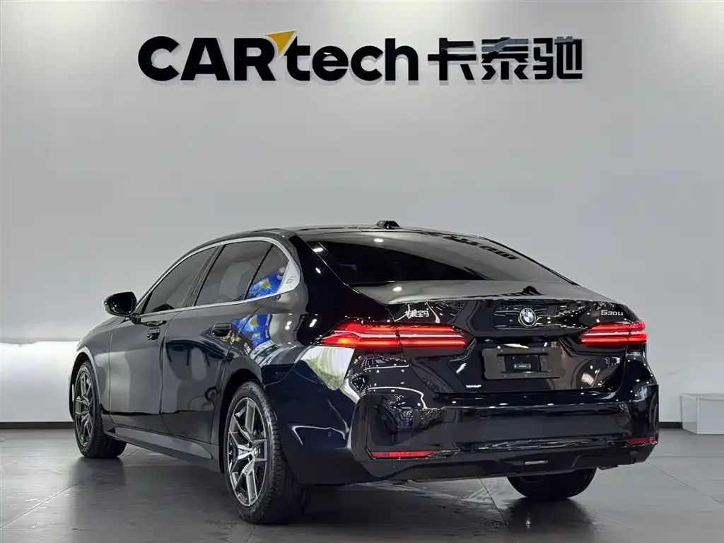 BMW 5 Series 2024 из CN, фото 7
