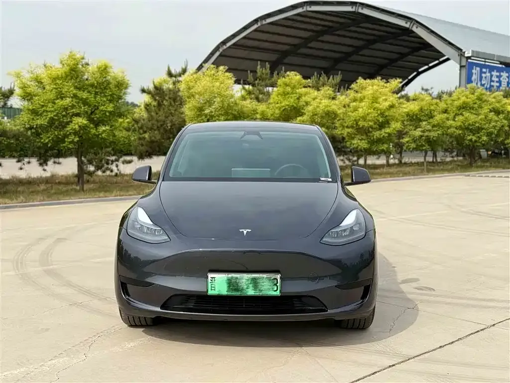 Tesla Model Y — фото 5