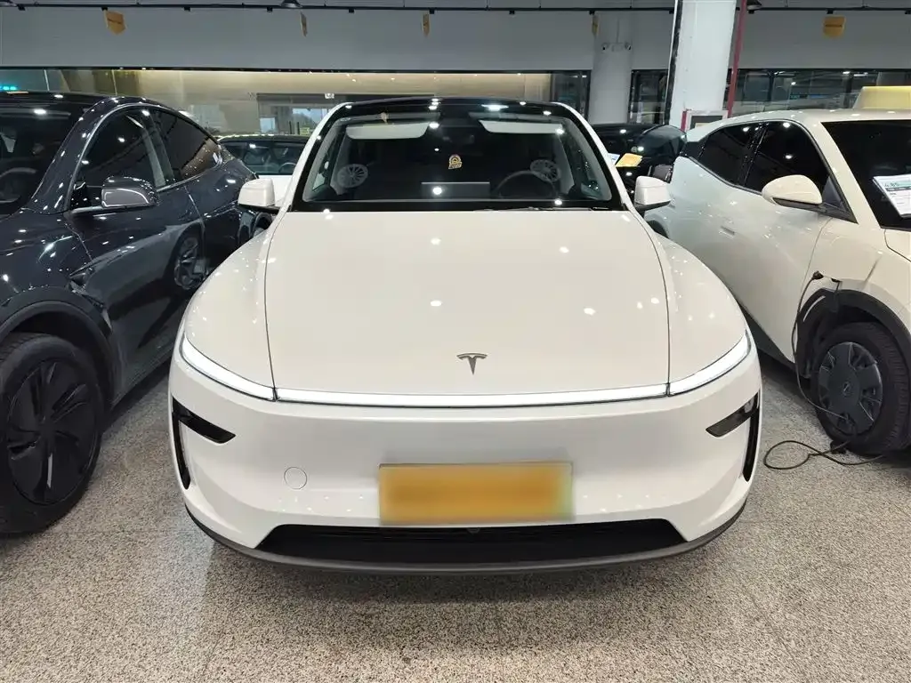 Tesla Model Y — фото 10