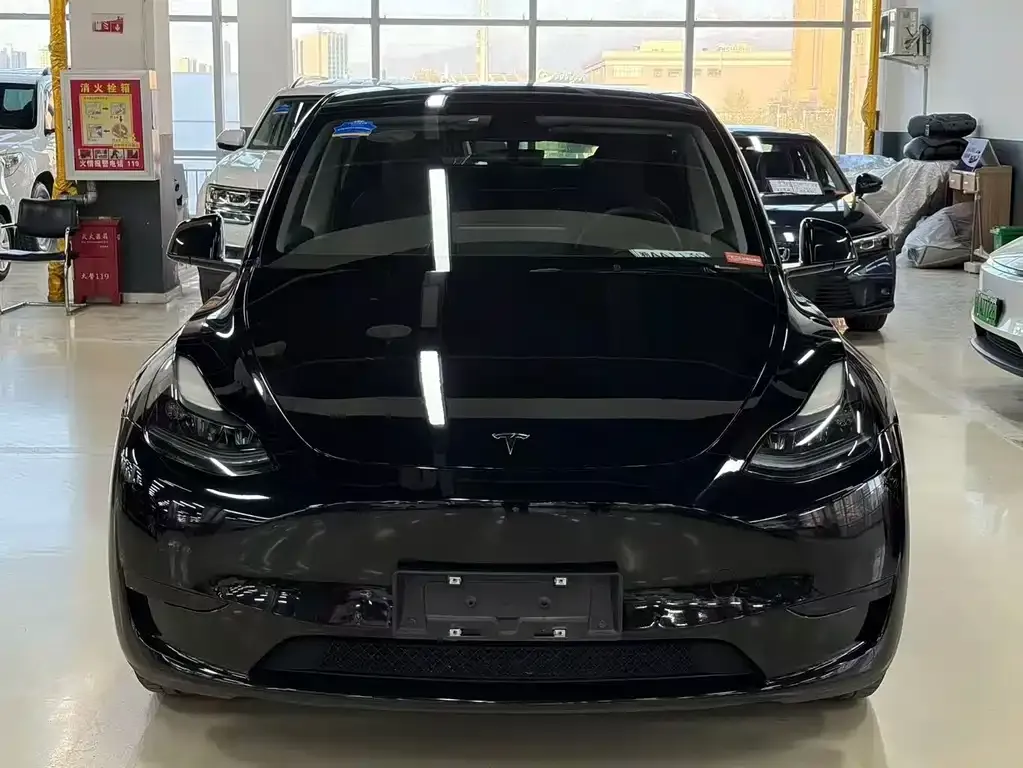 Tesla Model Y — фото 3