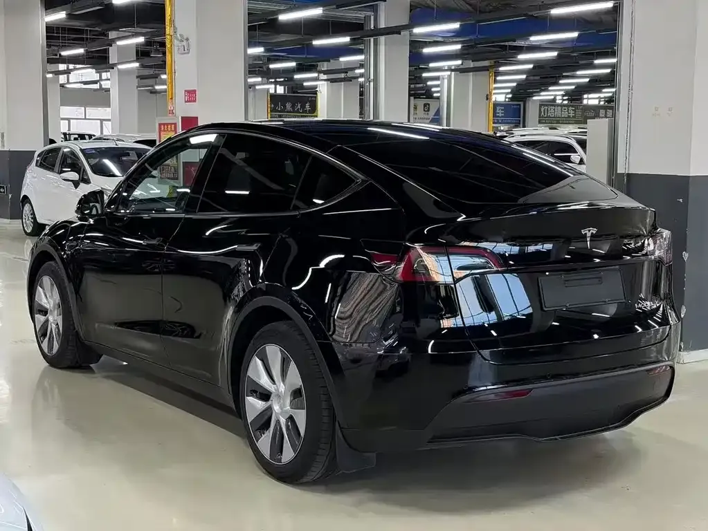 Tesla Model Y — фото 2